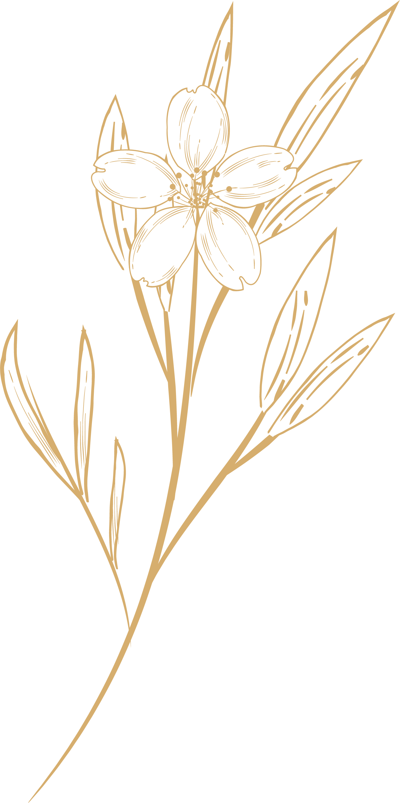 Decoración Floral